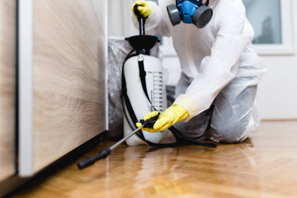 Best Residential Pest Control  in Bay City, TX