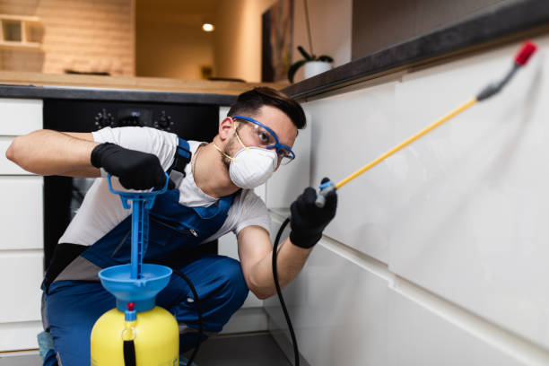Best Pest Inspection Near Me  in Bay City, TX
