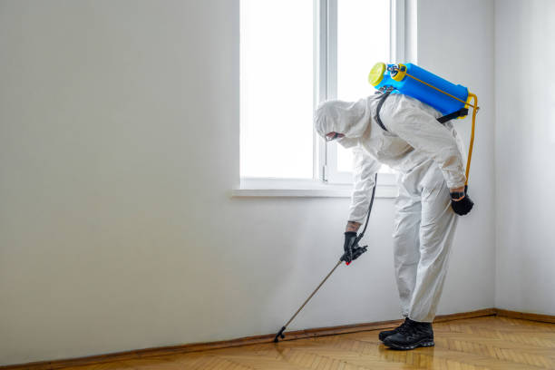Best Best Pest Control Companies  in Bay City, TX