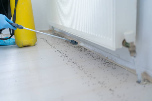 Best Pest Prevention Services  in Bay City, TX