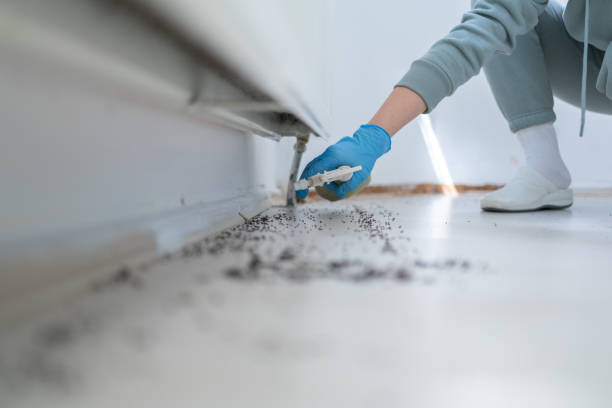 Best Commercial Pest Control Services  in Bay City, TX